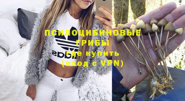 гидропоника Гусев