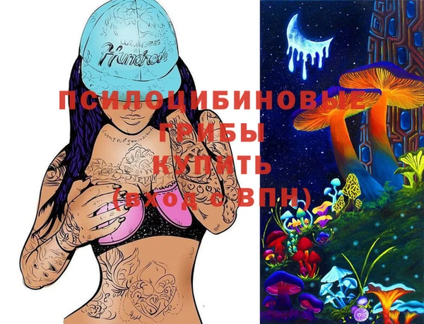 хмурый Усинск