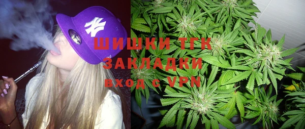 гидропоника Гусев