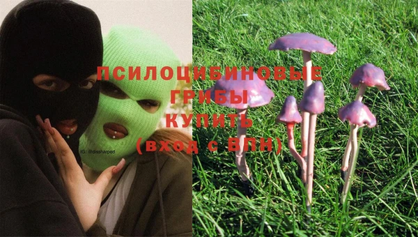 гидропоника Гусев
